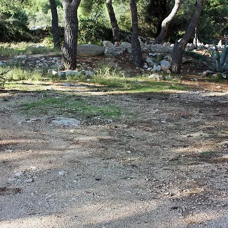 By The Sea - 3199 * Rogoznica (Sibenik-Knin)